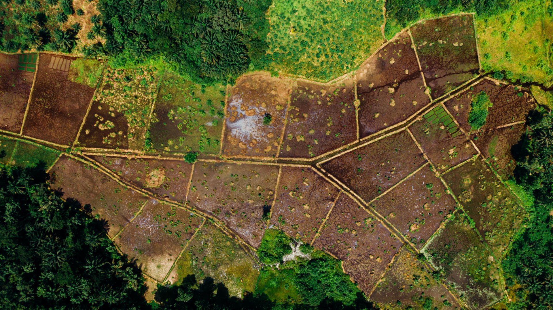 Beyşehir'de yatırımlık 600 m² satılık arsa
